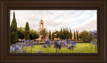 Load image into Gallery viewer, Newport Beach California Blooming Afternoon