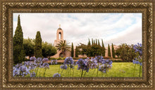 Load image into Gallery viewer, Newport Beach California Blooming Afternoon