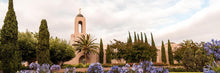 Load image into Gallery viewer, Newport Beach California Blooming Afternoon