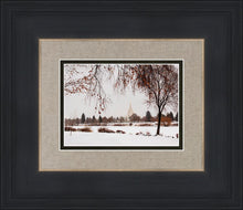 Load image into Gallery viewer, Fall After the Storm