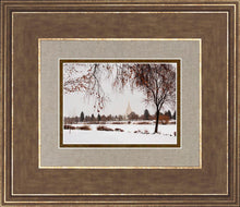Load image into Gallery viewer, Fall After the Storm