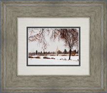 Load image into Gallery viewer, Fall After the Storm