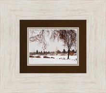 Load image into Gallery viewer, Fall After the Storm