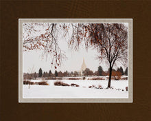 Load image into Gallery viewer, Fall After the Storm