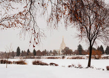 Load image into Gallery viewer, Fall After the Storm