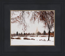 Load image into Gallery viewer, Fall After the Storm