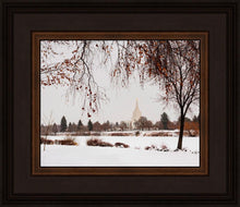 Load image into Gallery viewer, Fall After the Storm