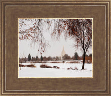 Load image into Gallery viewer, Fall After the Storm