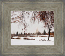 Load image into Gallery viewer, Fall After the Storm