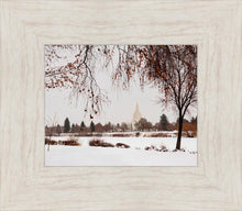 Load image into Gallery viewer, Fall After the Storm