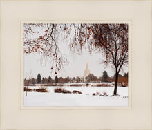 Load image into Gallery viewer, Fall After the Storm