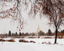 Load image into Gallery viewer, Fall After the Storm