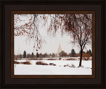 Load image into Gallery viewer, Fall After the Storm