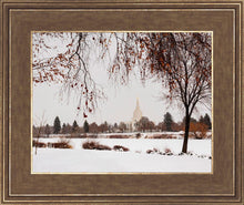 Load image into Gallery viewer, Fall After the Storm