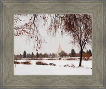 Load image into Gallery viewer, Fall After the Storm