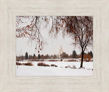 Load image into Gallery viewer, Fall After the Storm