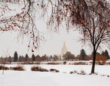 Load image into Gallery viewer, Fall After the Storm