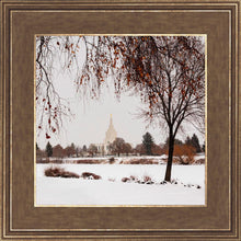 Load image into Gallery viewer, Fall After the Storm
