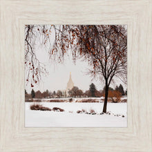 Load image into Gallery viewer, Fall After the Storm