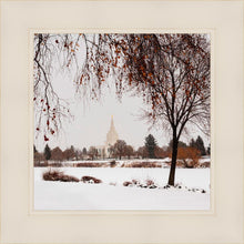 Load image into Gallery viewer, Fall After the Storm