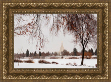 Load image into Gallery viewer, Fall After the Storm