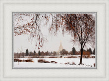 Load image into Gallery viewer, Fall After the Storm