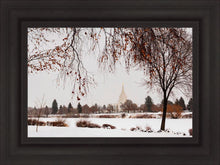 Load image into Gallery viewer, Fall After the Storm