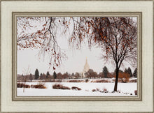 Load image into Gallery viewer, Fall After the Storm