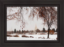 Load image into Gallery viewer, Fall After the Storm