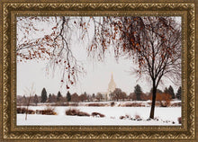 Load image into Gallery viewer, Fall After the Storm
