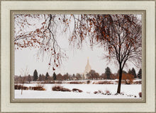 Load image into Gallery viewer, Fall After the Storm
