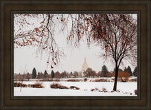 Load image into Gallery viewer, Fall After the Storm