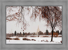 Load image into Gallery viewer, Fall After the Storm