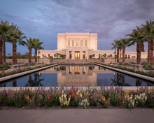 Load image into Gallery viewer, Mesa Arizona Summer Nights Dream