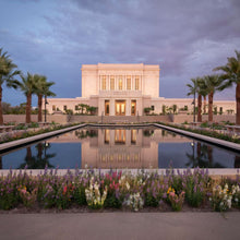 Load image into Gallery viewer, Mesa Arizona Summer Nights Dream