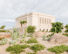 Load image into Gallery viewer, Mesa Arizona He is light