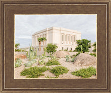 Load image into Gallery viewer, Mesa Arizona He is light