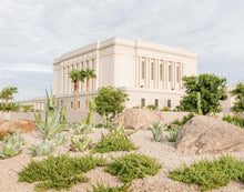 Load image into Gallery viewer, Mesa Arizona He is light