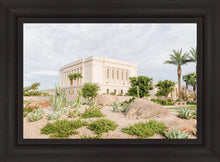 Load image into Gallery viewer, Mesa Arizona He is light