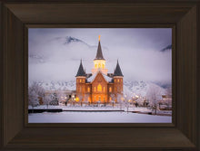 Load image into Gallery viewer, Provo CC - Cold Winter Night