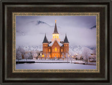 Load image into Gallery viewer, Provo CC - Cold Winter Night