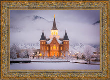 Load image into Gallery viewer, Provo CC - Cold Winter Night