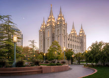 Load image into Gallery viewer, Salt Lake Evening Lights