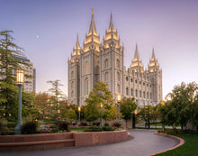 Load image into Gallery viewer, Salt Lake Evening Lights