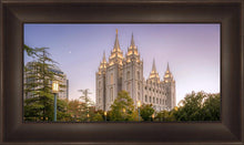 Load image into Gallery viewer, Salt Lake Evening Lights