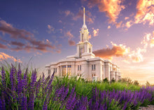 Load image into Gallery viewer, Payson Temple Blooming Lavender