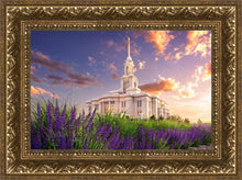 Load image into Gallery viewer, Payson Temple Blooming Lavender