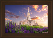 Load image into Gallery viewer, Payson Temple Blooming Lavender