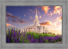 Load image into Gallery viewer, Payson Temple Blooming Lavender