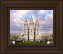 Load image into Gallery viewer, Salt Lake a Glimpse of Heaven